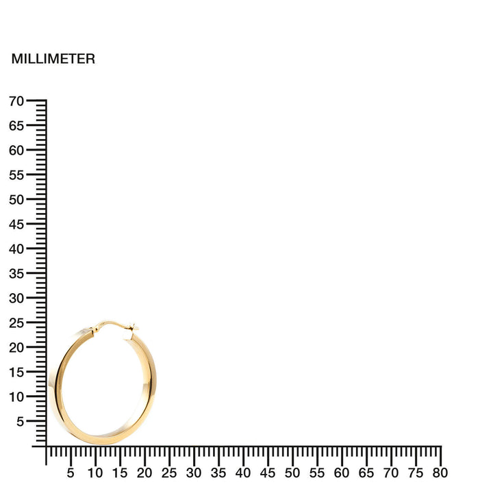 Pendientes Oro Aro liso rectangular 24x4 mm